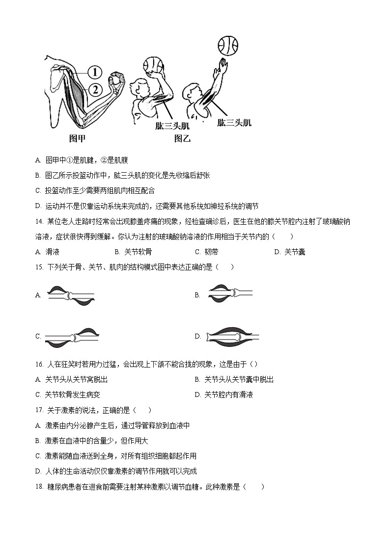新疆伊犁哈萨克自治州2025-2026学年八年级上学期期中 生物学试题第3页