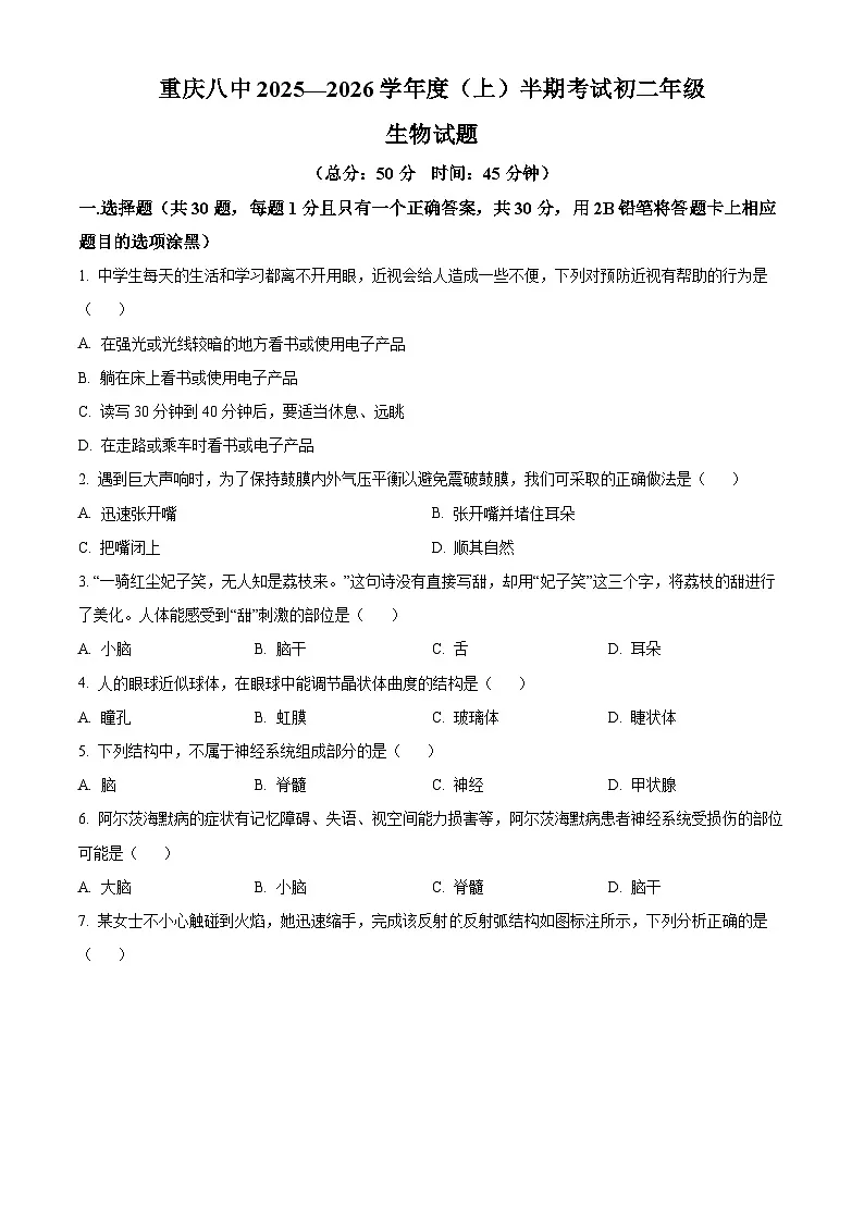重庆市第八中学校2025-2026学年八年级上学期期中 生物学试题第1页