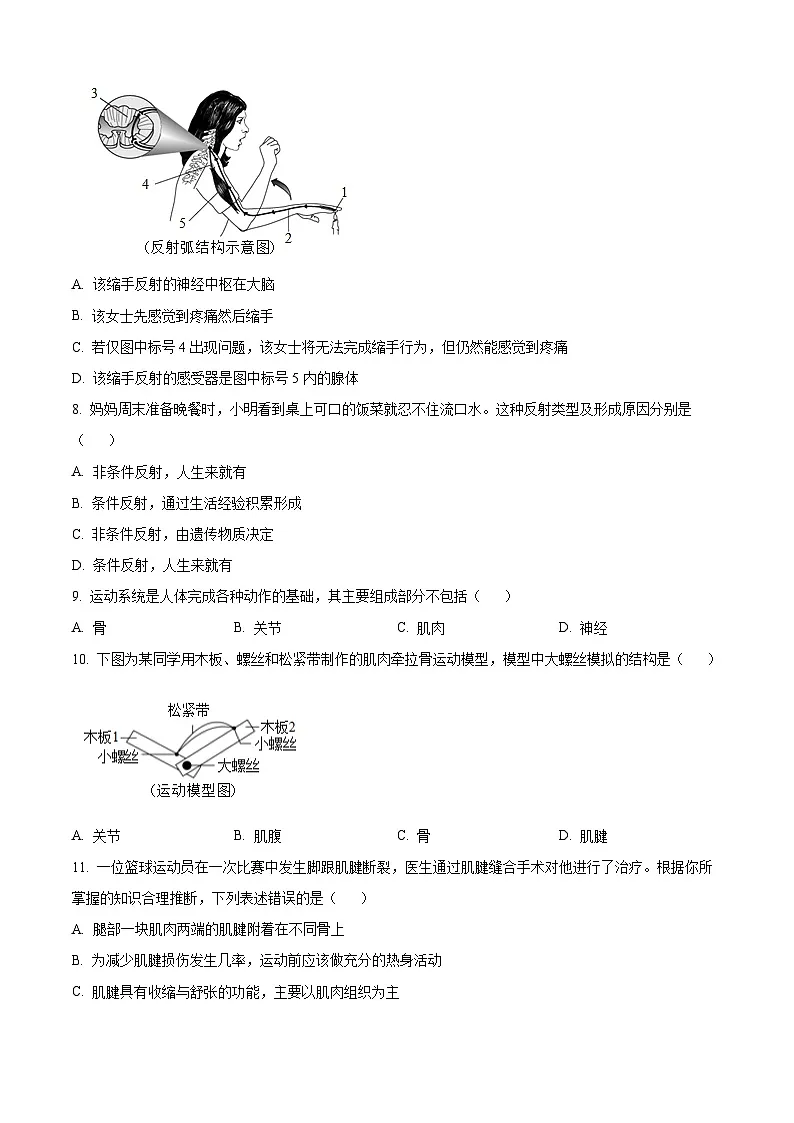 重庆市第八中学校2025-2026学年八年级上学期期中 生物学试题第2页