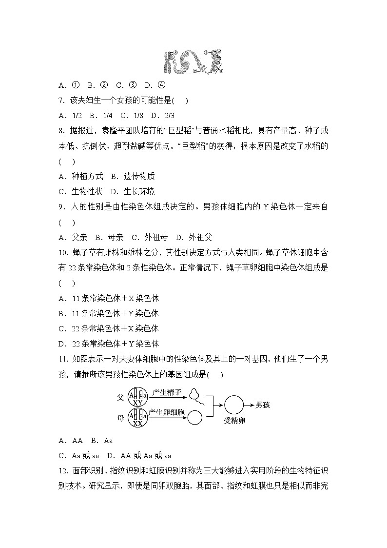 第六单元第二章+生物的遗传与变异+学情评估卷2025-2026学年人教版八年级生物下册 含答案第2页