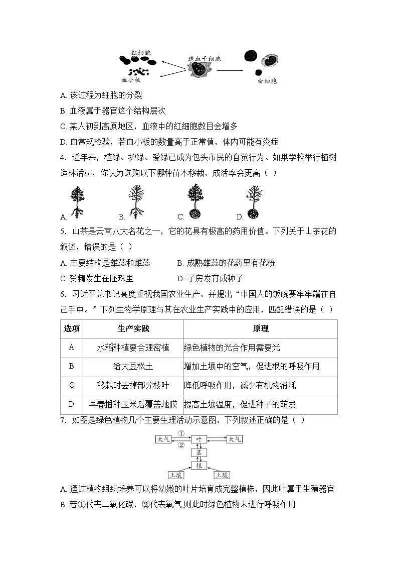2025年深圳市初中生物学业水平考试模拟卷（五）（学生版）第2页