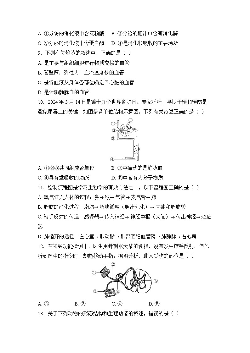 2025年深圳市初中生物学业水平考试模拟卷（六）（学生版）第3页