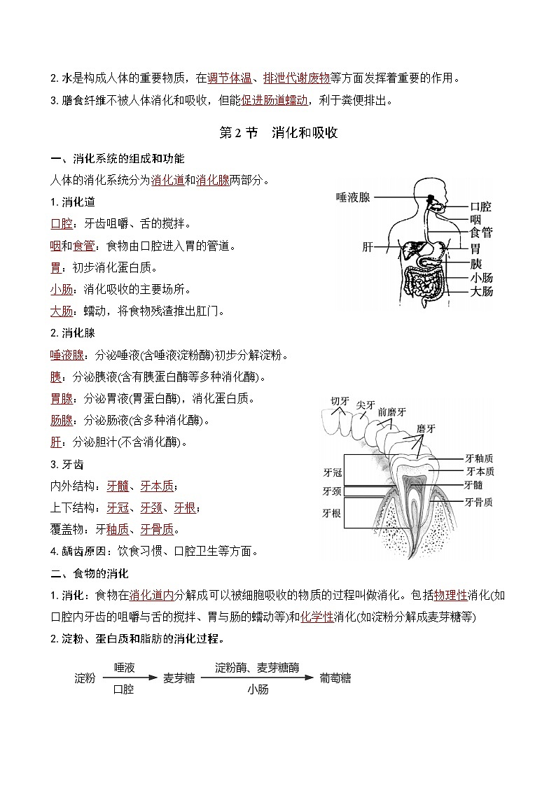 苏教版（2024）八年级上册生物期末复习必背考点清单 讲义第2页