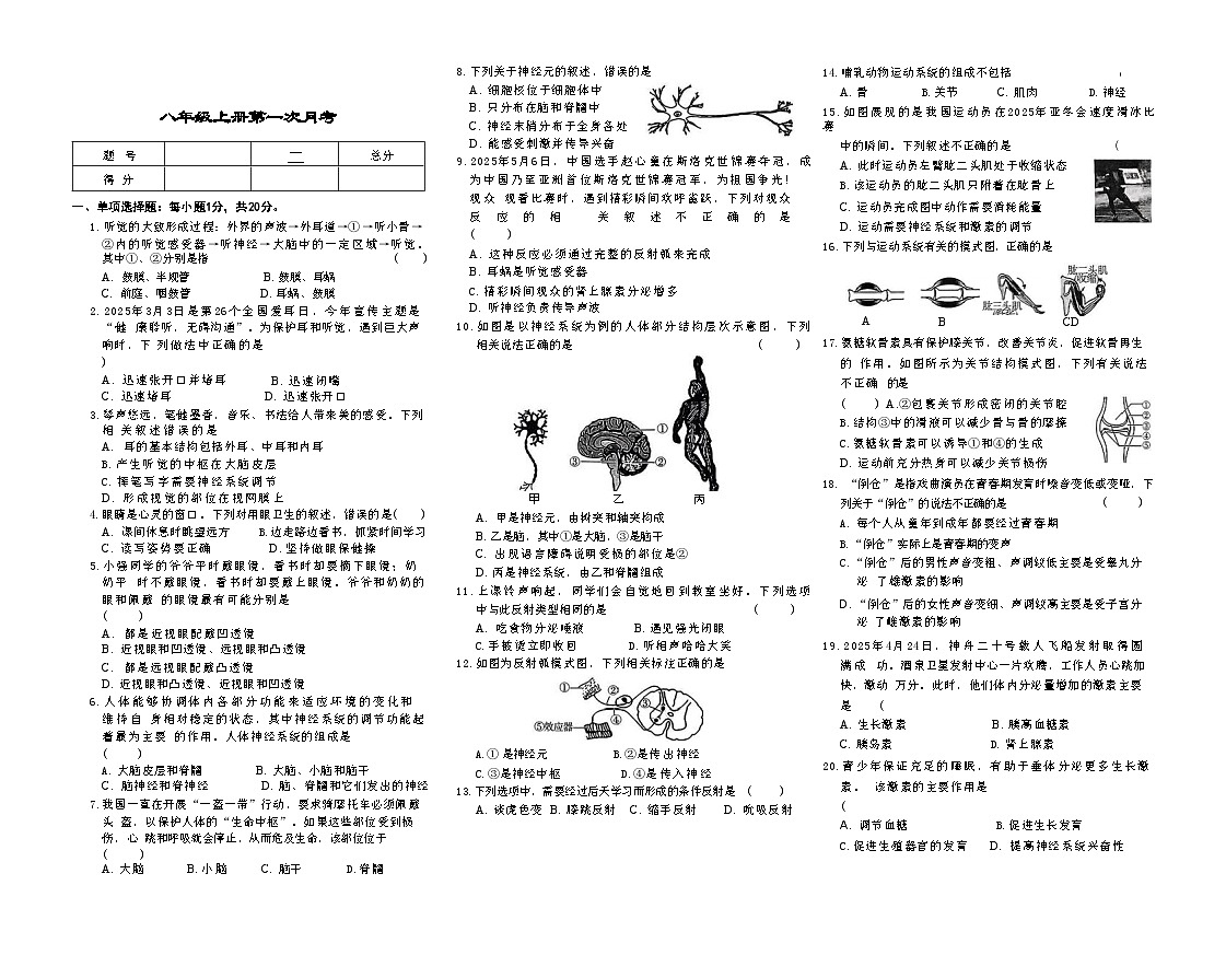 吉林省松原市宁江区风华中学2025—2026学年度上学期第一次月考试卷   八年级生物试卷（含答案）第1页