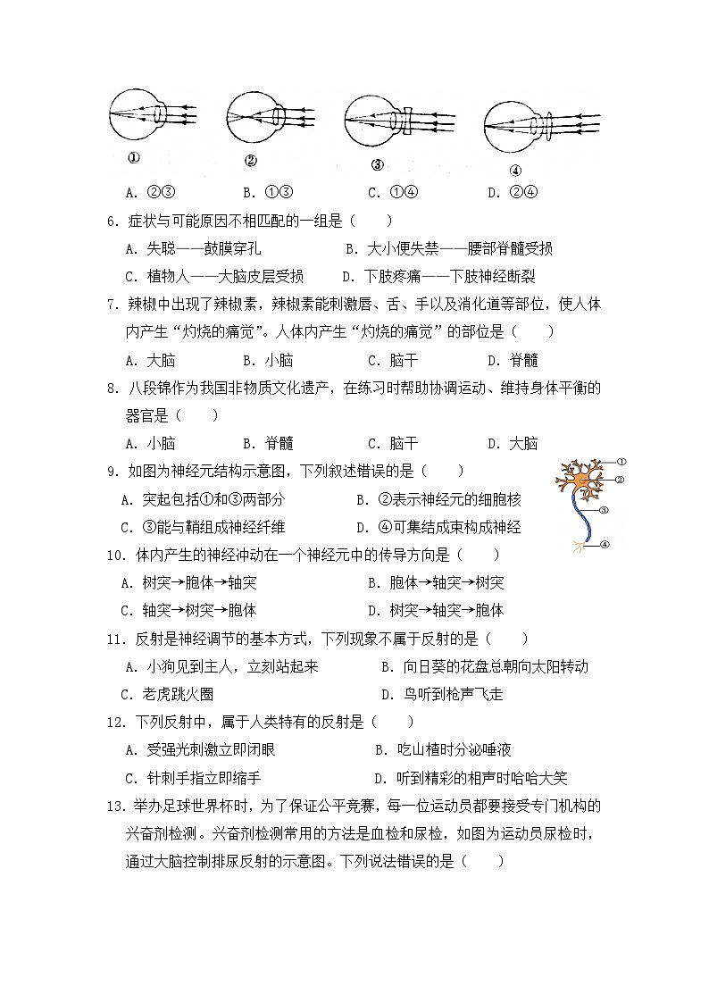 2026中考一轮复习专题二 人体生命活动的调节试卷（含答案）第2页