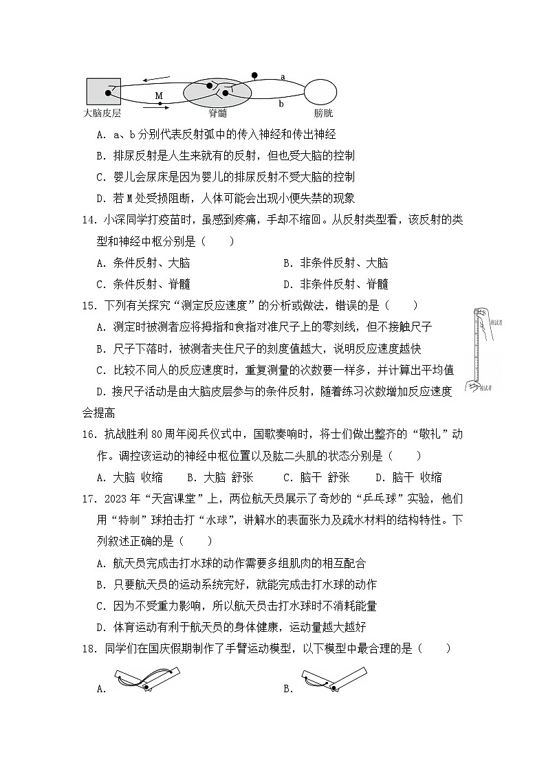 2026中考一轮复习专题二 人体生命活动的调节试卷（含答案）第3页