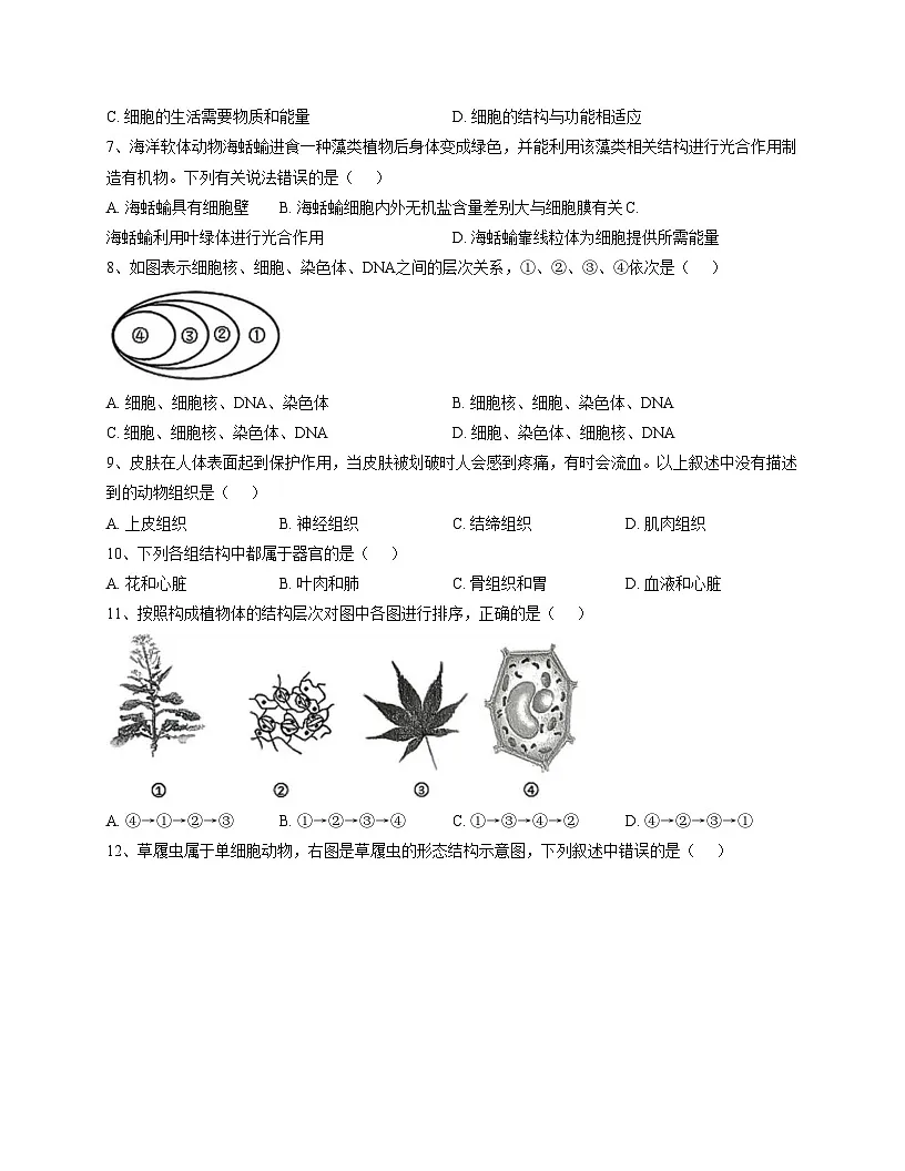 辽宁省大连市高新园区2025_2026学年七年级上学期期中考试生物试卷（文字版，含答案）第2页