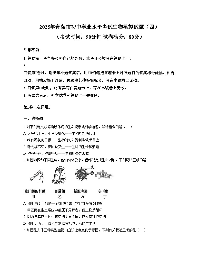 2025年山东省青岛市初中学业水平考试生物模拟试题（四）（文字版，含答案）第1页