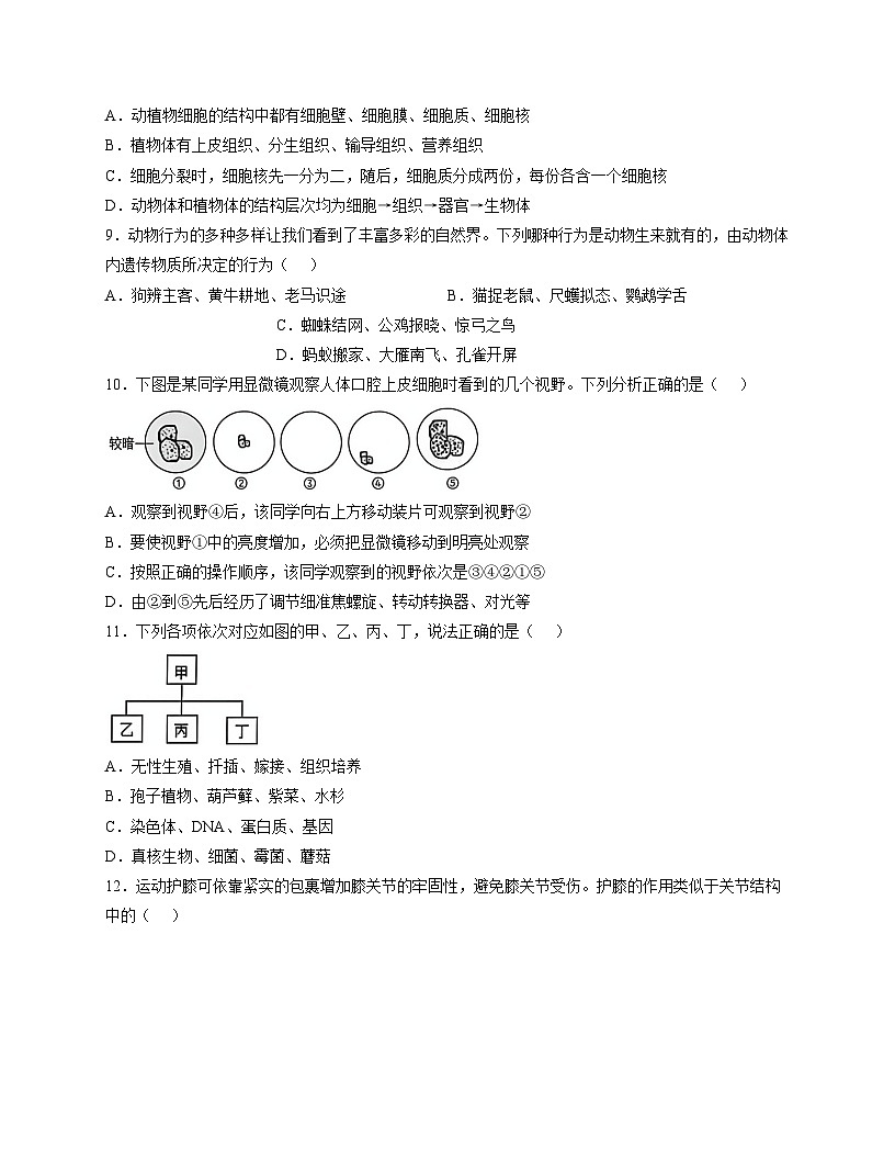 2025年山东省青岛市初中学业水平考试生物模拟试题（四）（文字版，含答案）第3页
