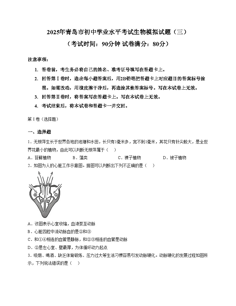 2025年山东省青岛市初中学业水平考试生物模拟试题（三）（文字版，含答案）第1页