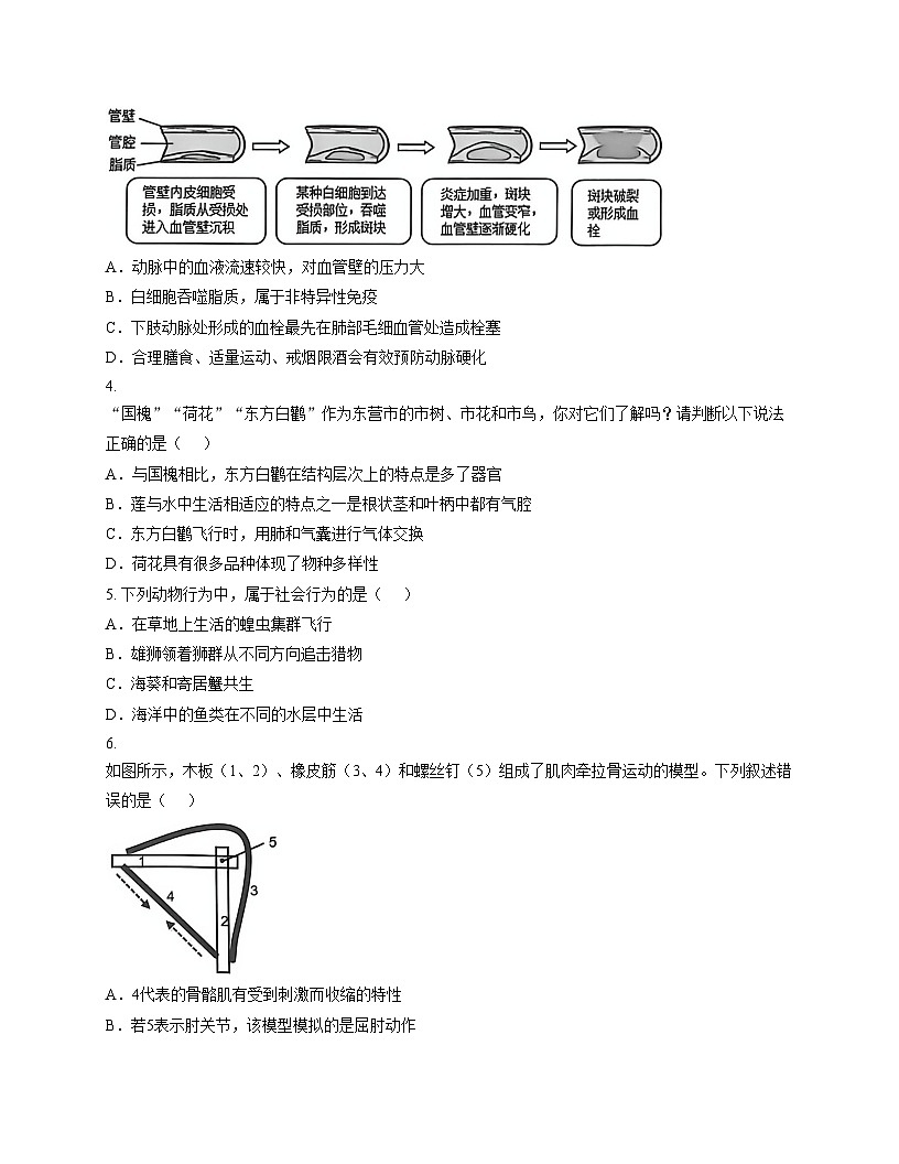 2025年山东省青岛市初中学业水平考试生物模拟试题（三）（文字版，含答案）第2页
