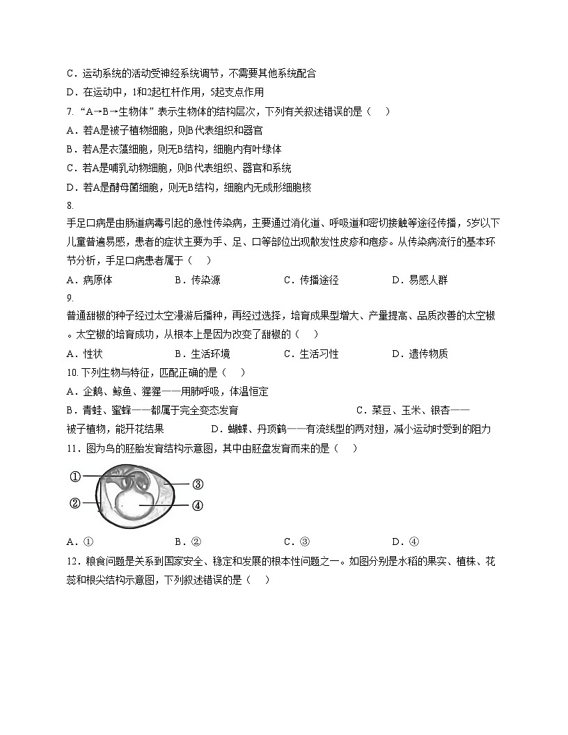 2025年山东省青岛市初中学业水平考试生物模拟试题（三）（文字版，含答案）第3页
