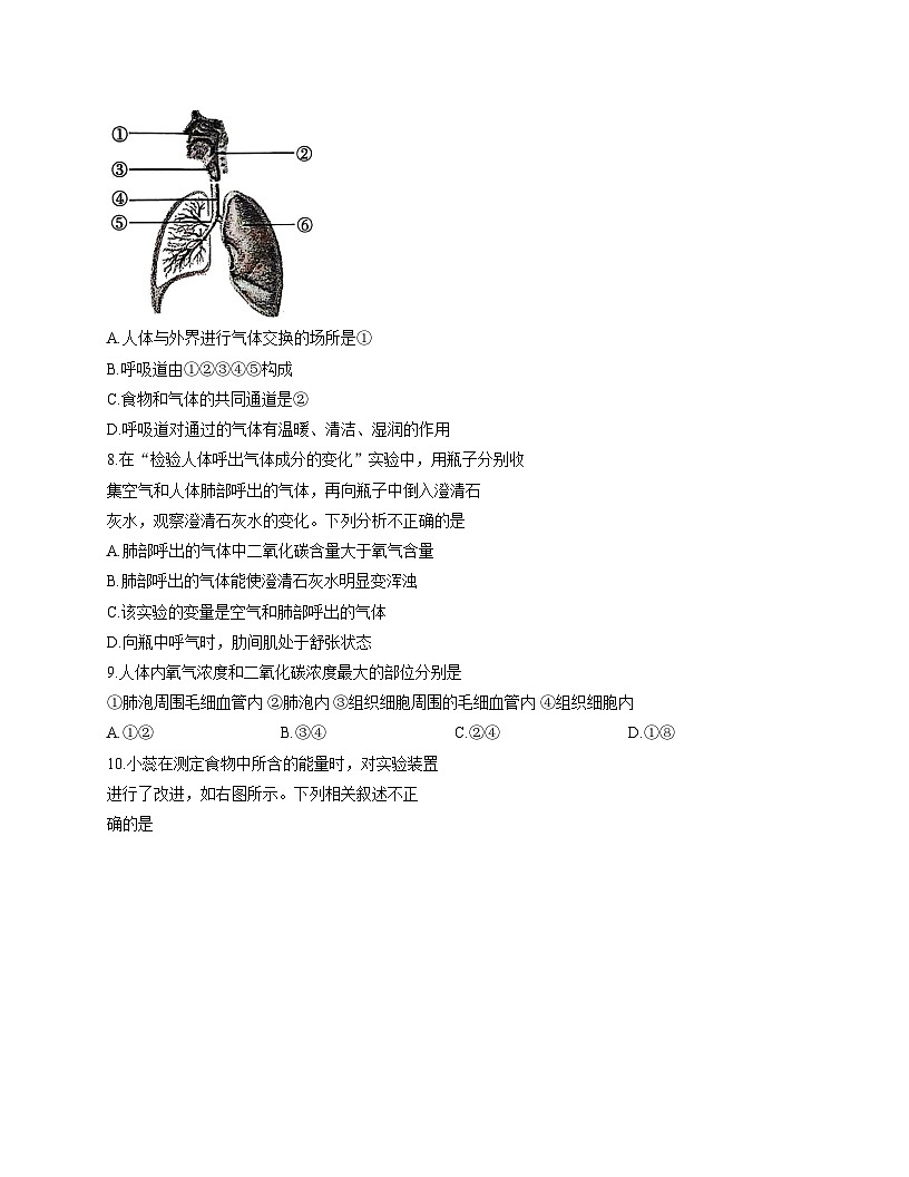 山东省菏泽市东明县2025_2026学年八年级上学期11月期中生物试题（文字版，含答案）第3页