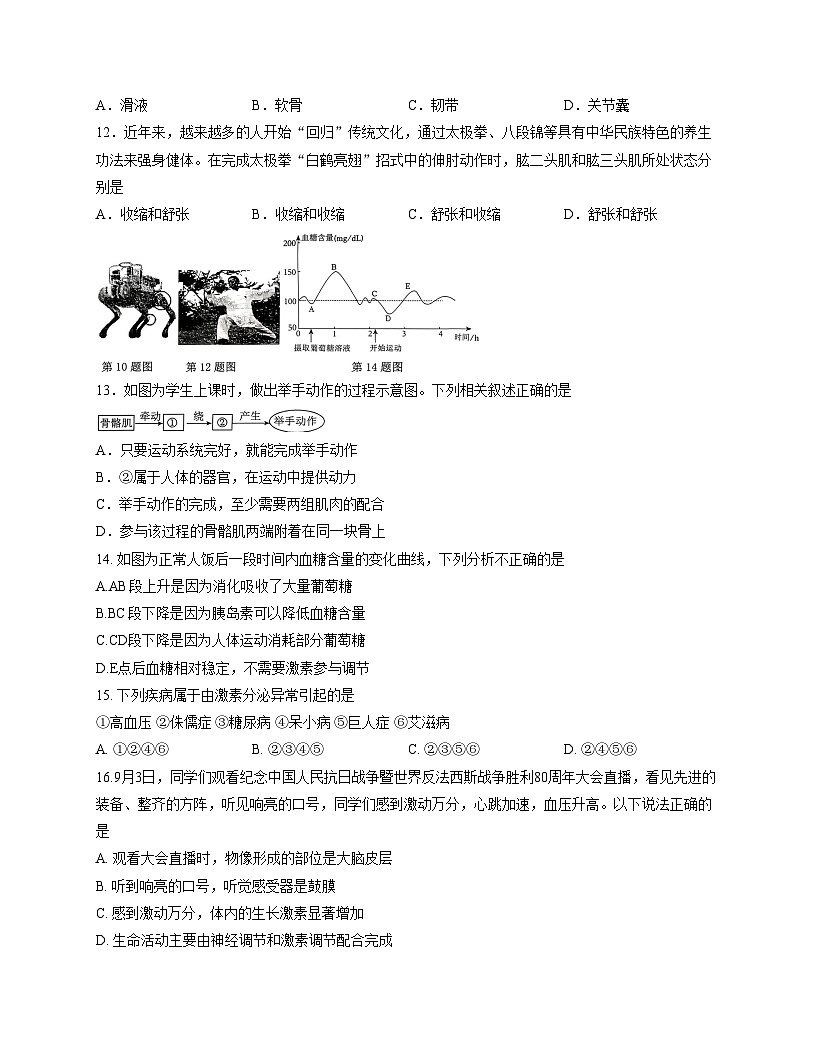 山东省临沂市临沭县2025_2026学年八年级上学期生物期中试卷（文字版，含答案）第3页