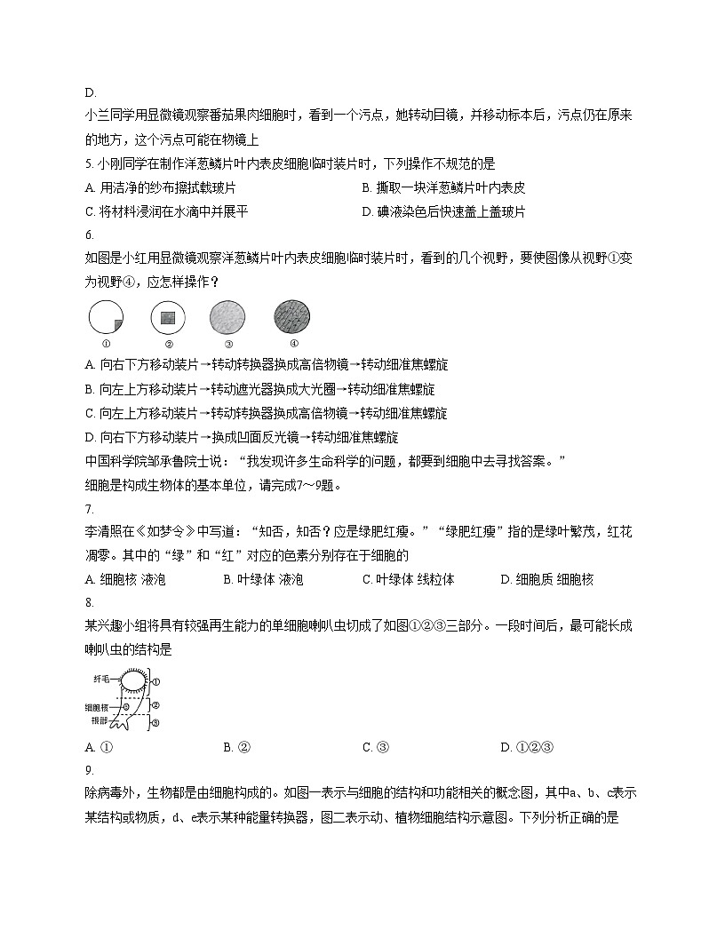 山东省临沂市临沭县2025_2026学年七年级上学期生物期中试题第2页