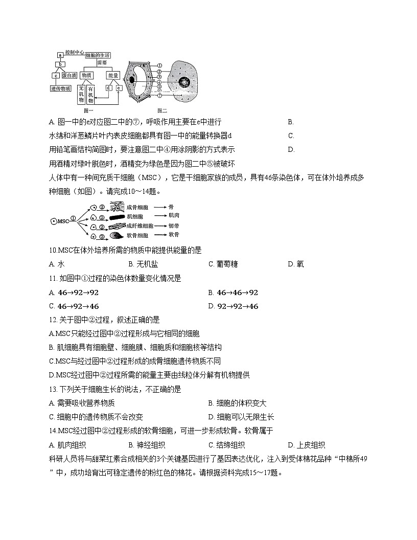 山东省临沂市临沭县2025_2026学年七年级上学期生物期中试题第3页