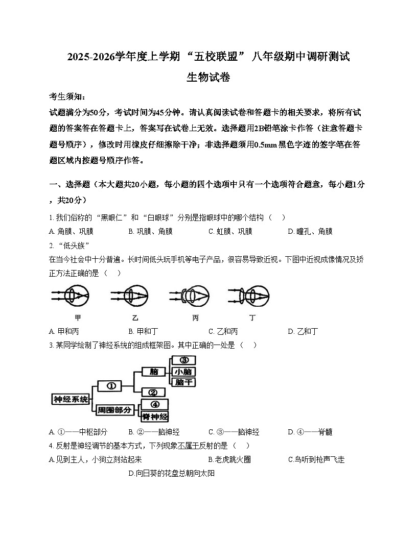 黑龙江省哈尔滨市道外区五校联盟2025_2026学年八年级上学期期中生物试题（文字版，含答案）第1页