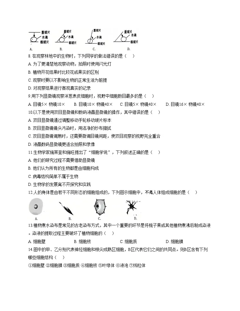 福建省福州市仓山区永南实验学校2025_2026学年七年级上学期期中考试生物试题（文字版，含答案）第2页