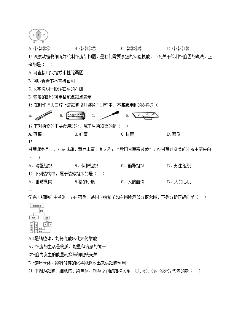 福建省福州市仓山区永南实验学校2025_2026学年七年级上学期期中考试生物试题（文字版，含答案）第3页