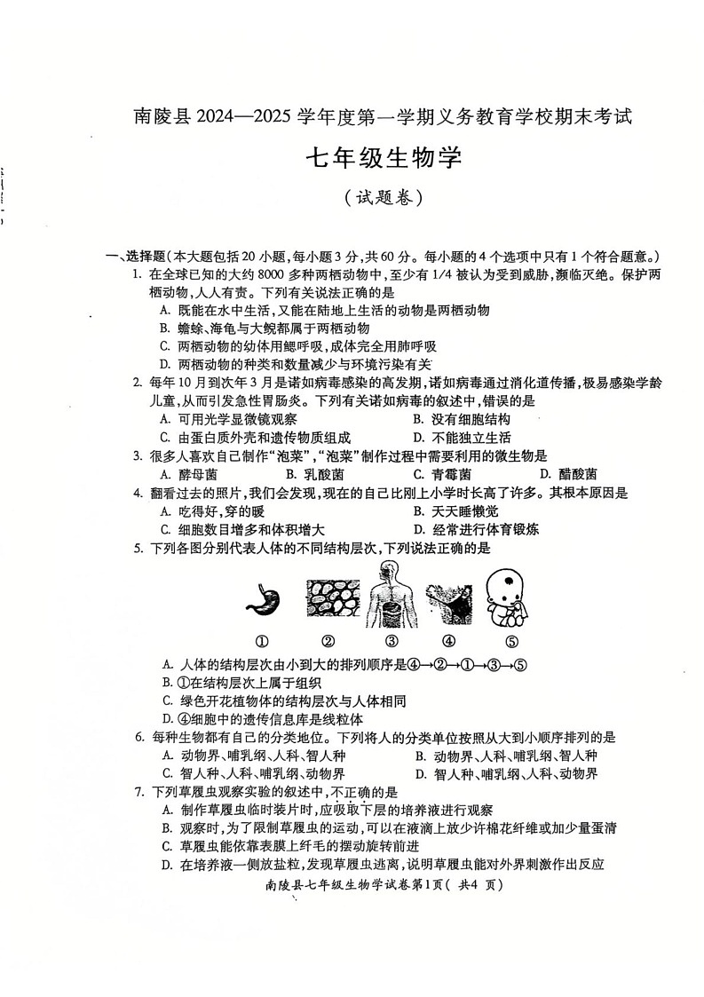 安徽省芜湖市南陵县2024-2025学年七年级上学期1月期末生物试题第1页