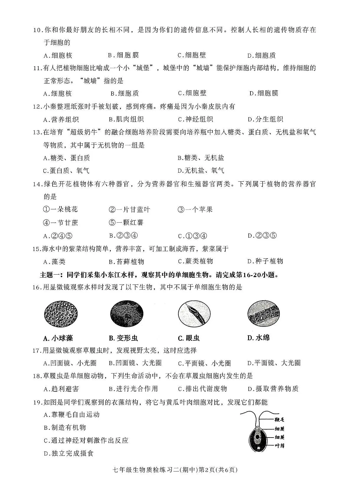广东省河源市龙川县老隆镇附城中学2025-2026学年七年级上学期期中考试生物试题第2页
