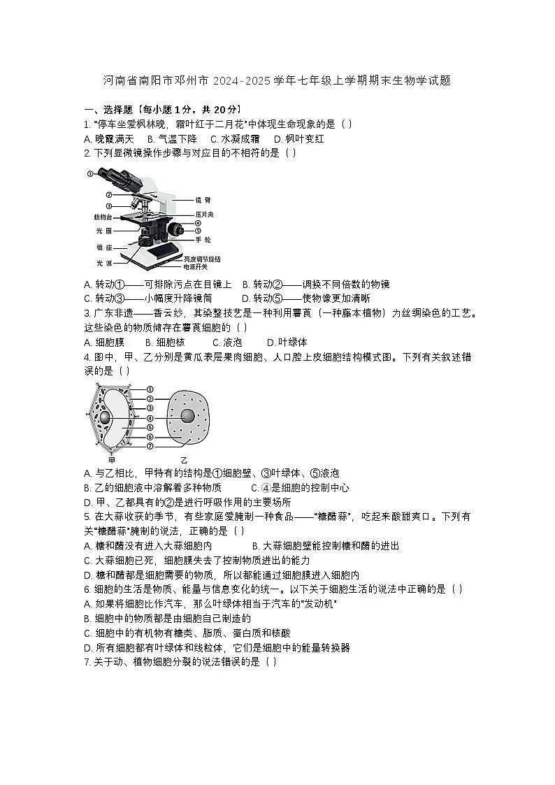 河南省南阳市邓州市2024-2025学年七年级上学期期末生物学试题第1页