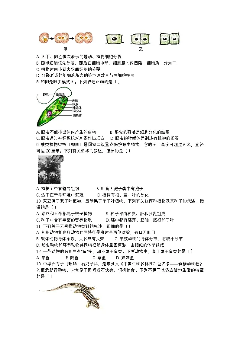 河南省南阳市邓州市2024-2025学年七年级上学期期末生物学试题第2页