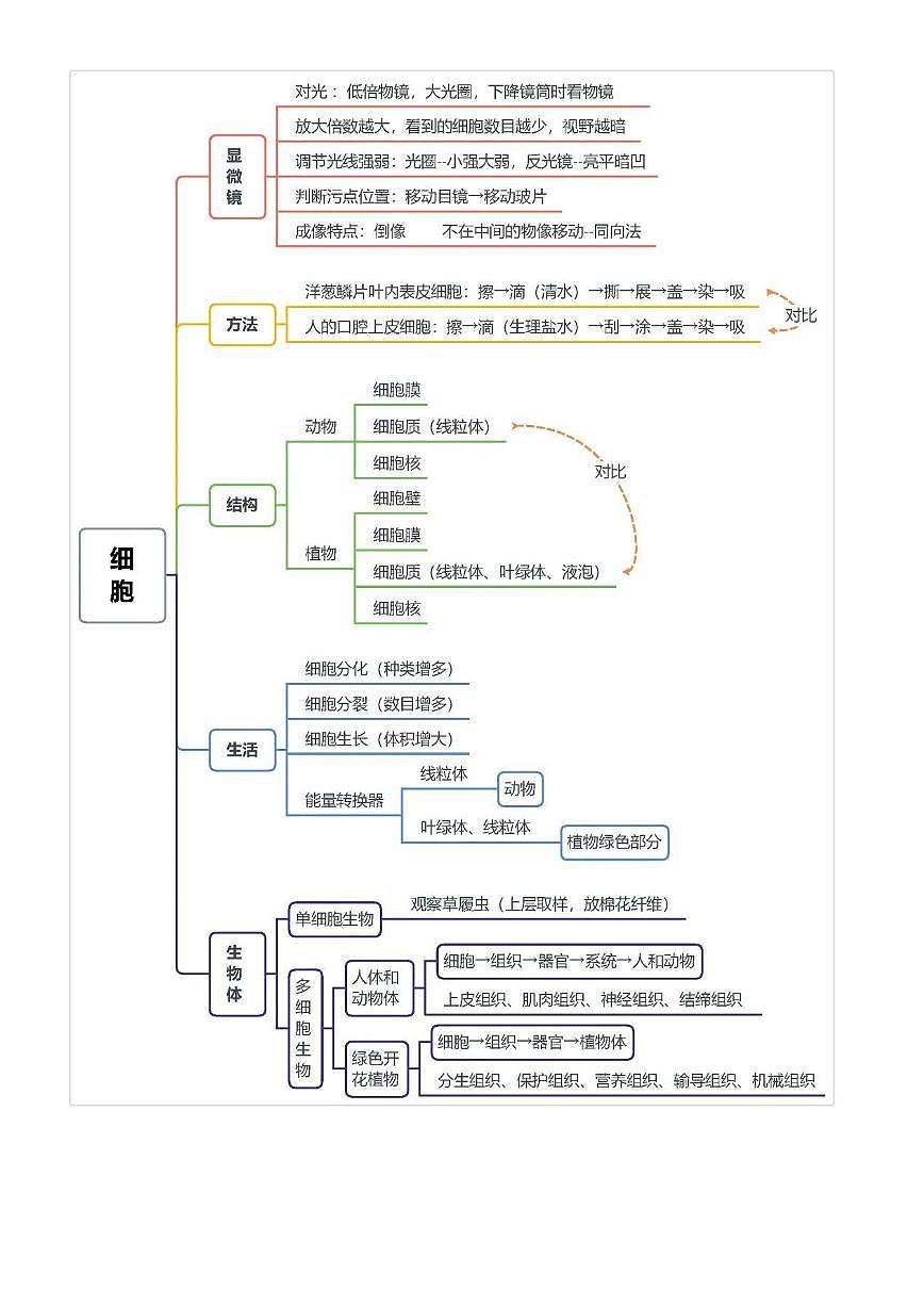 【初中人教版生物】4册生物考点，汇成脉络图思维导图第1页