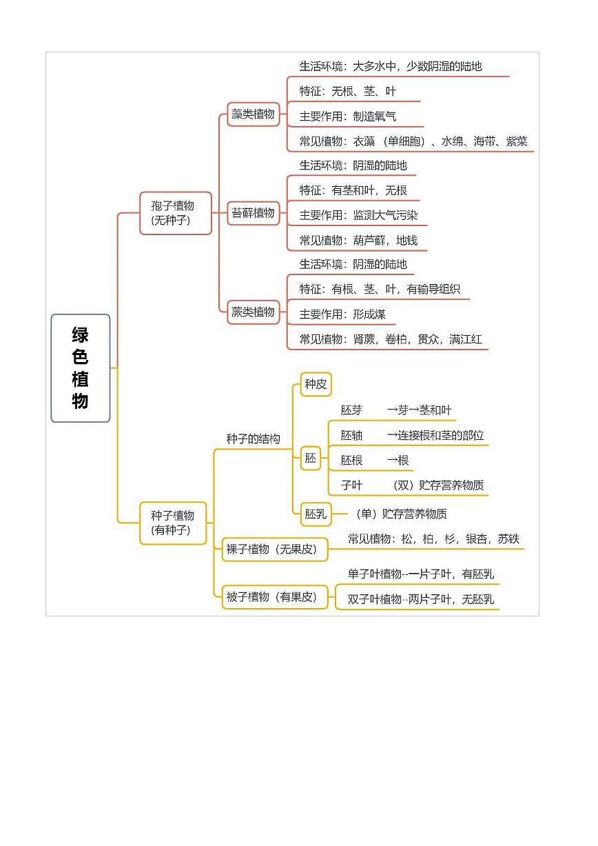 【初中人教版生物】4册生物考点，汇成脉络图思维导图第2页