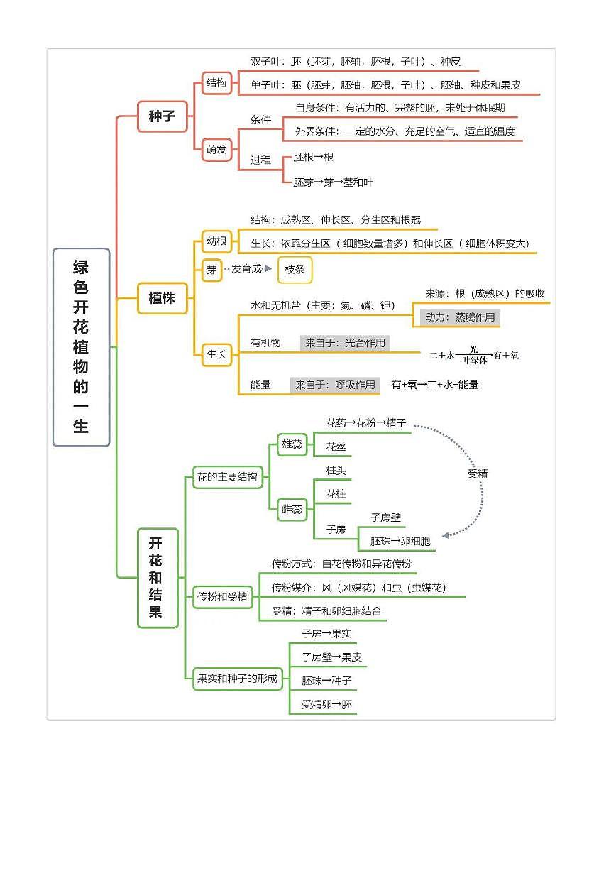 【初中人教版生物】4册生物考点，汇成脉络图思维导图第3页