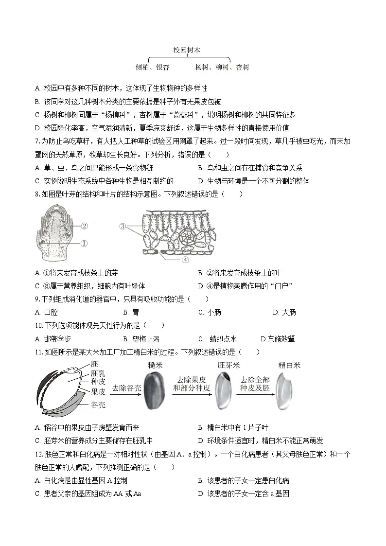 黄金卷04（江西专用）（考试版）第2页