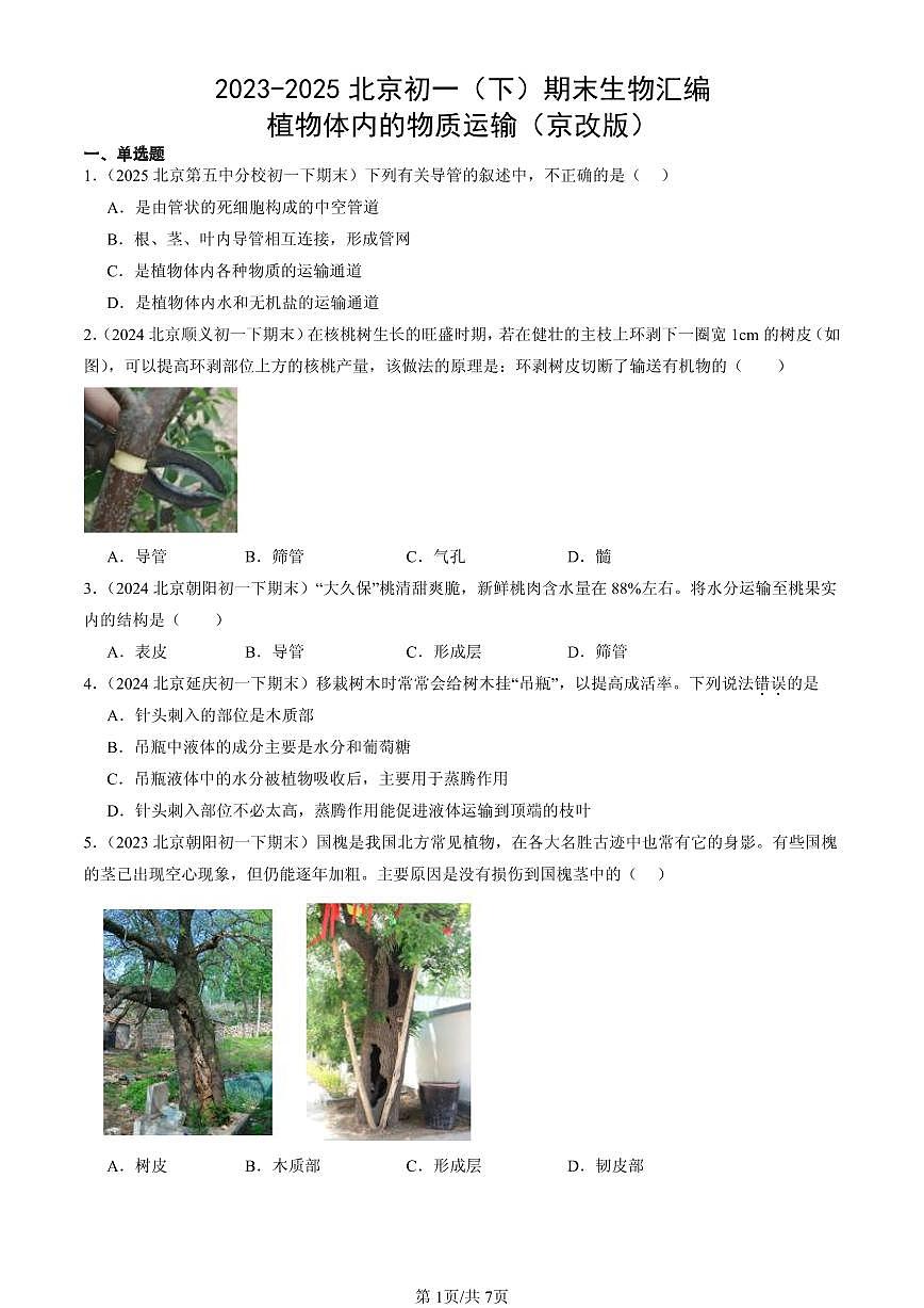 2023-2025北京初一（下）期末生物汇编：植物体内的物质运输（京改版）第1页