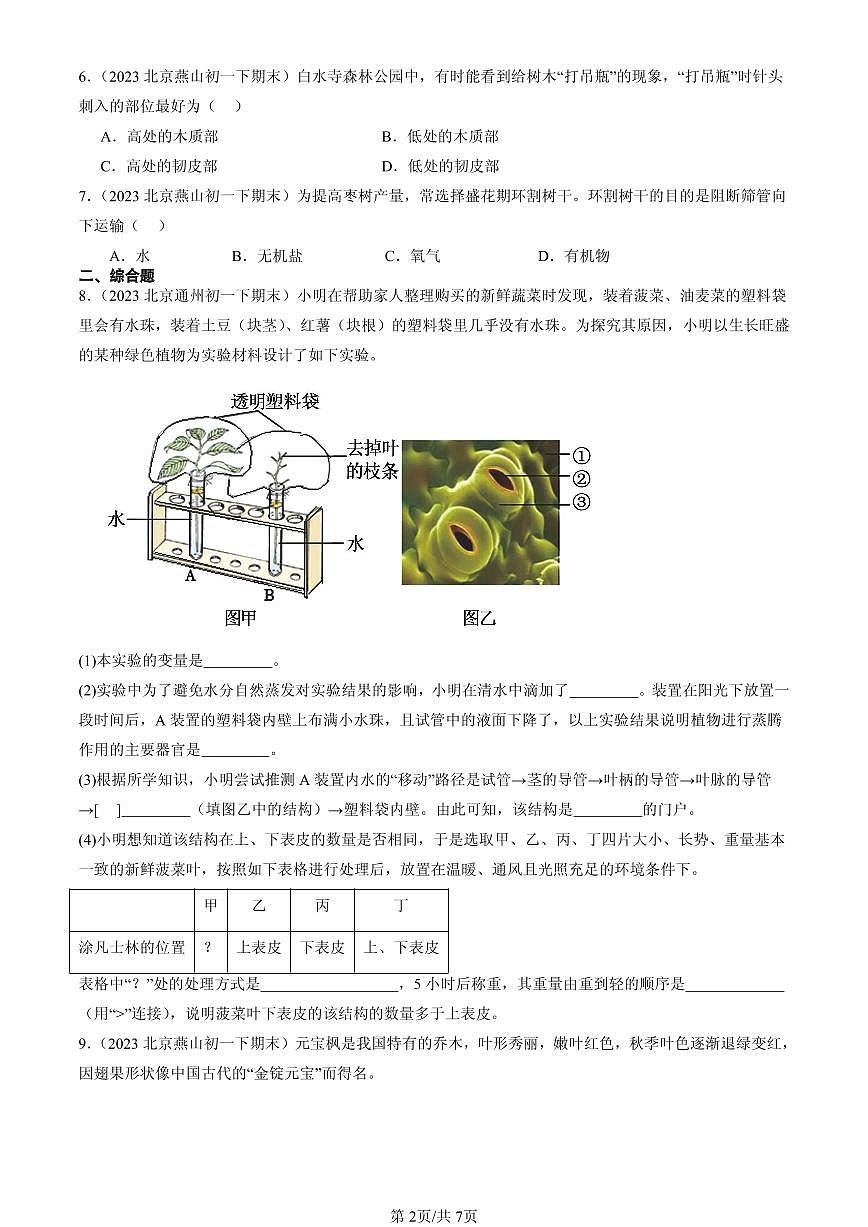 2023-2025北京初一（下）期末生物汇编：植物体内的物质运输（京改版）第2页