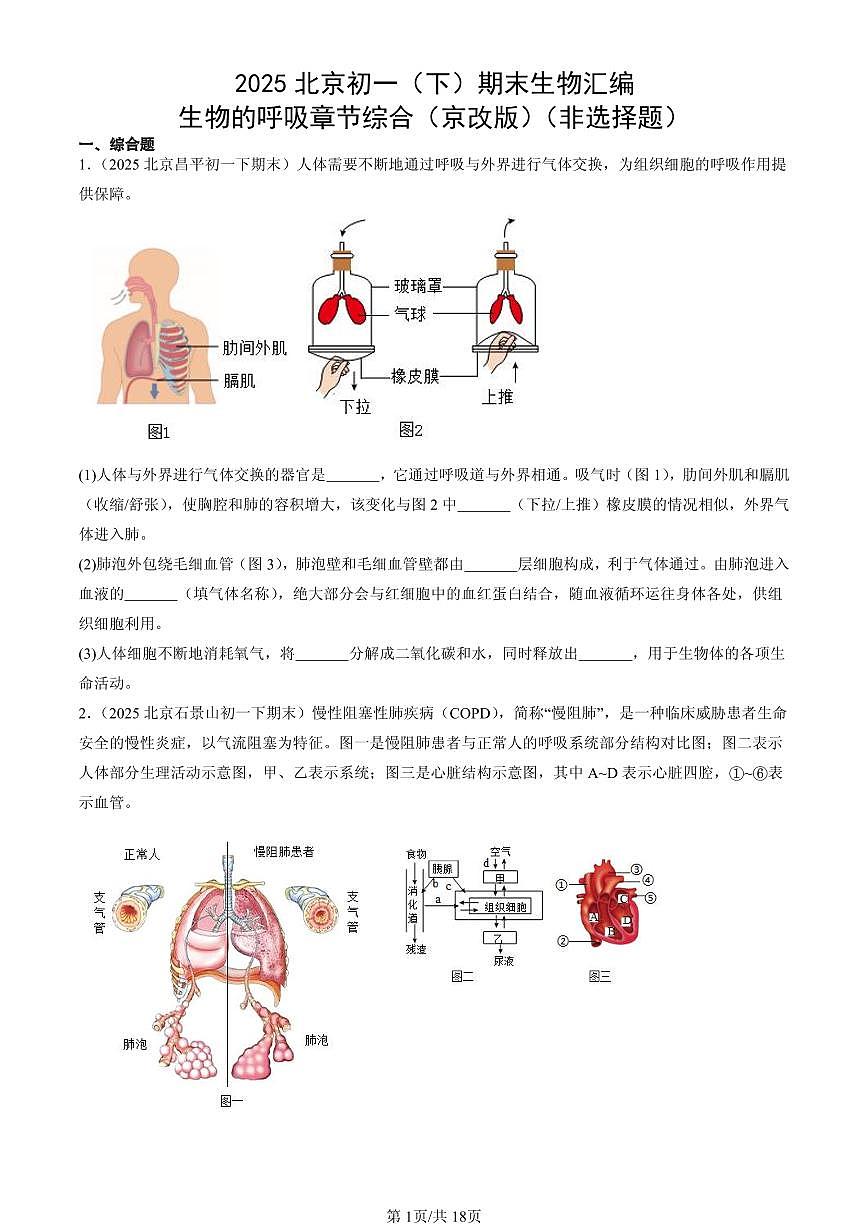 2025北京初一（下）期末生物汇编：生物的呼吸章节综合（京改版）（非选择题）第1页