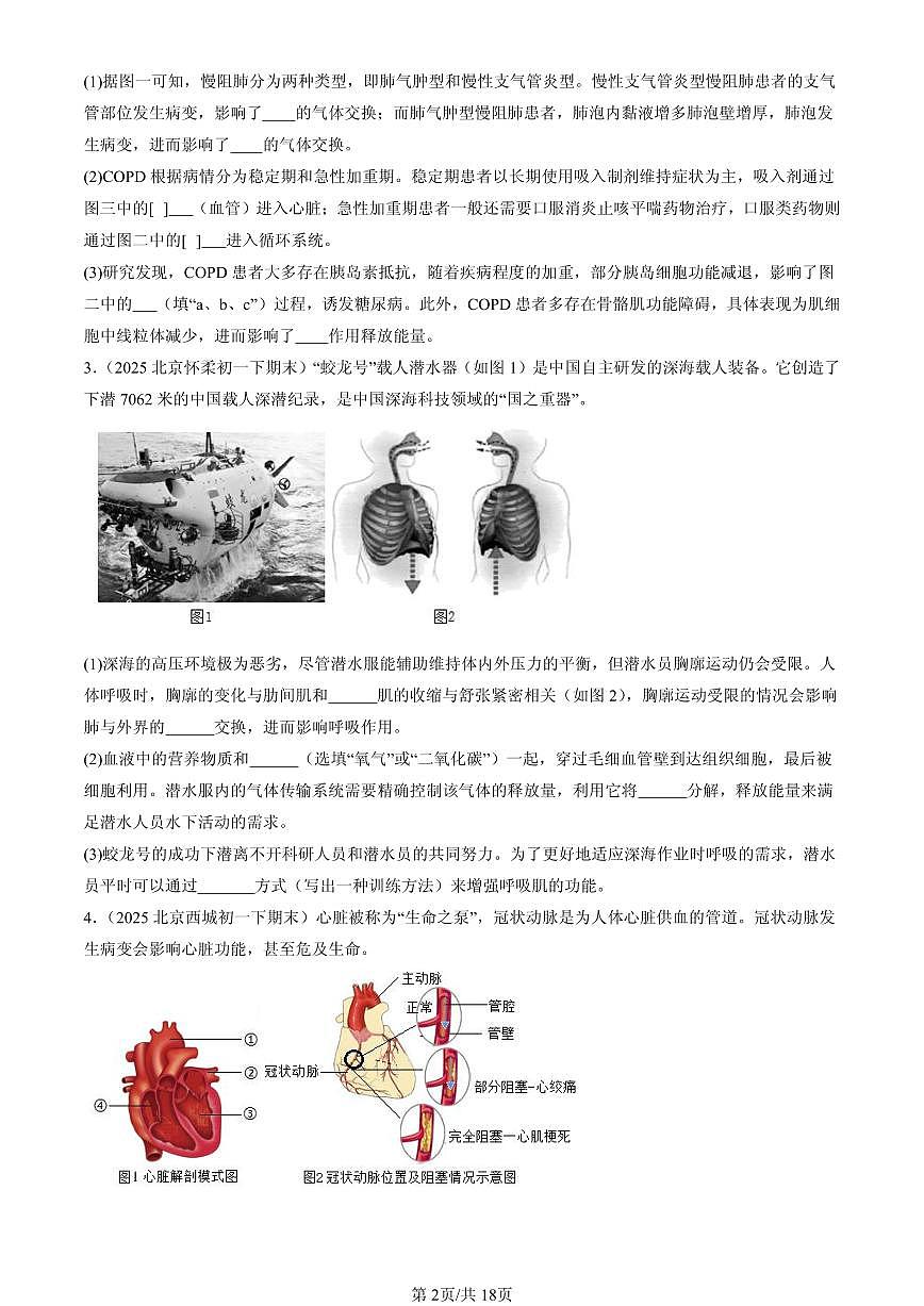 2025北京初一（下）期末生物汇编：生物的呼吸章节综合（京改版）（非选择题）第2页