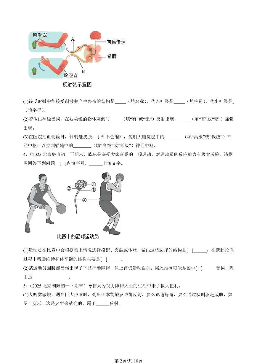 2025北京初一（下）期末生物汇编：生命活动的调节章节综合（京改版）（非选择题）第2页