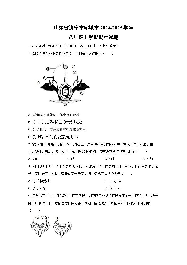山东省济宁市邹城市2024-2025学年八年级上学期期中生物试卷（学生版）第1页