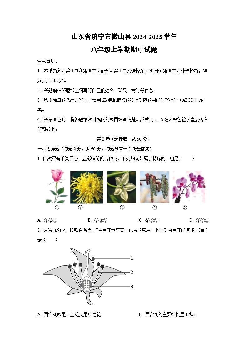 山东省济宁市微山县2024-2025学年八年级上学期期中生物试卷（学生版）第1页