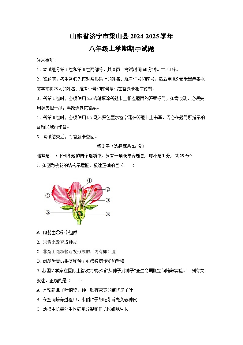 山东省济宁市梁山县2024-2025学年八年级上学期期中生物试卷（学生版）第1页
