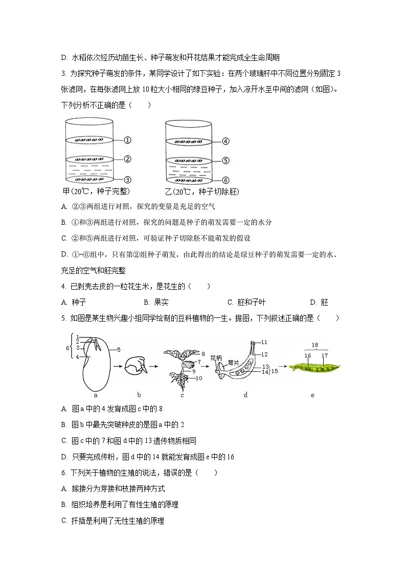 山东省济宁市梁山县2024-2025学年八年级上学期期中生物试卷（学生版）第2页