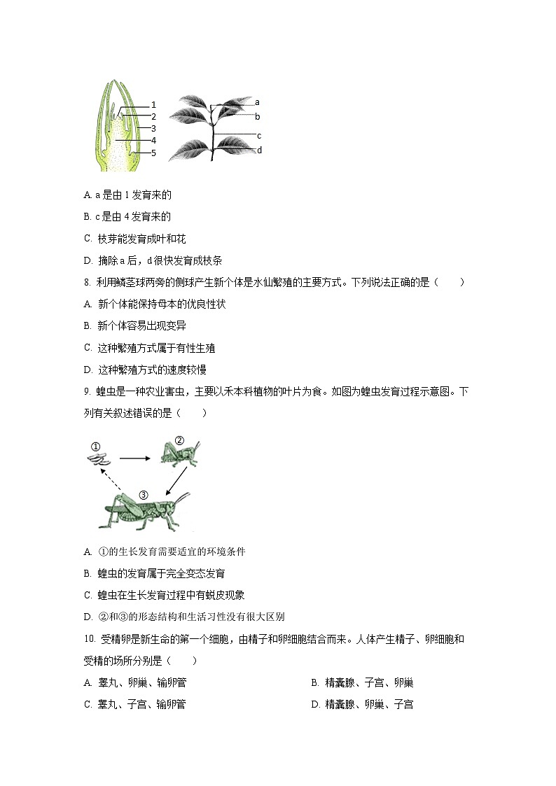 山东省济宁市金乡县2024-2025学年八年级上学期期中生物试卷（学生版）第3页