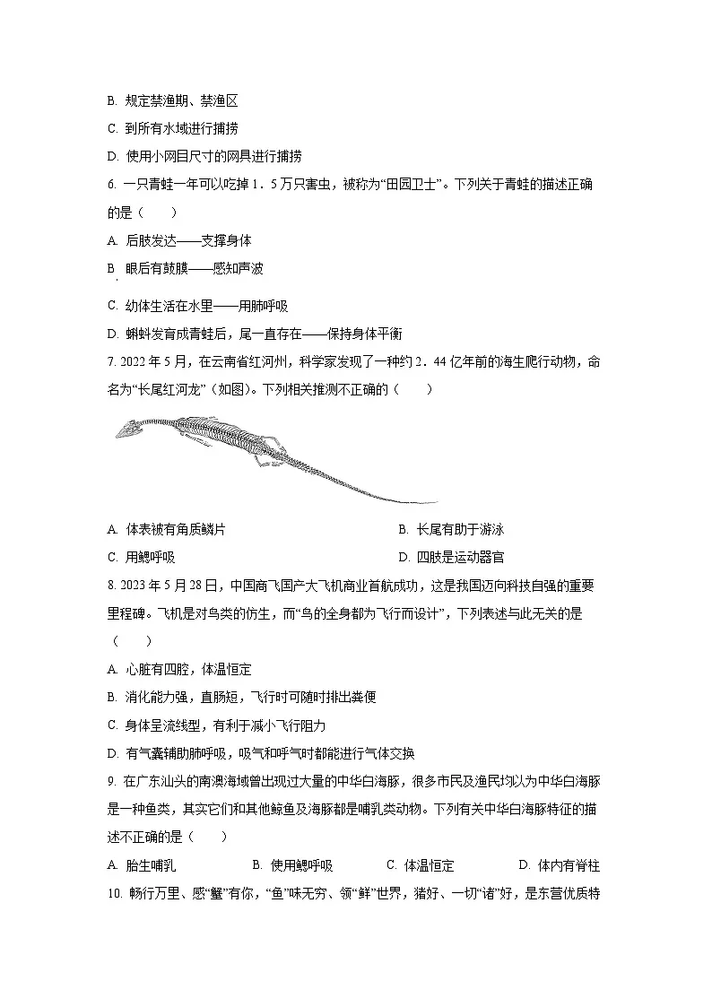 广西梧州市苍梧县2024-2025学年八年级上学期期中生物试卷（学生版）第2页