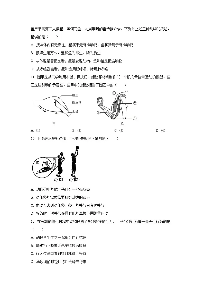 广西梧州市苍梧县2024-2025学年八年级上学期期中生物试卷（学生版）第3页