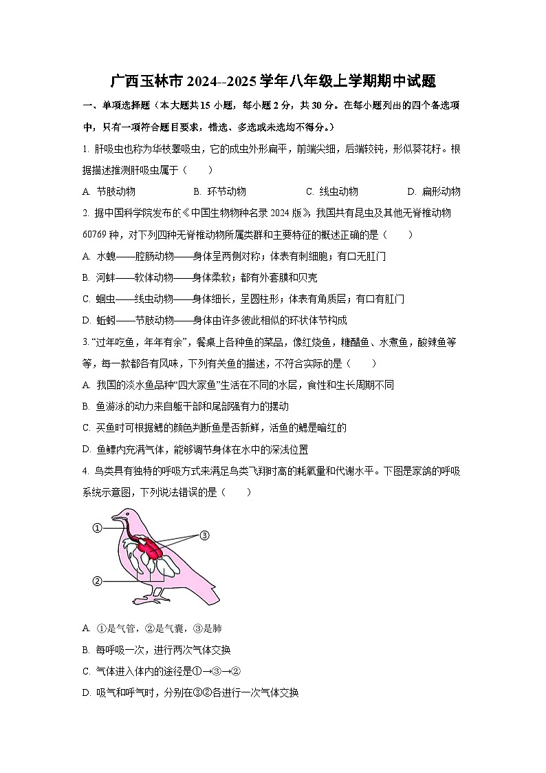 广西玉林市2024--2025学年八年级上学期期中生物试卷（学生版）第1页