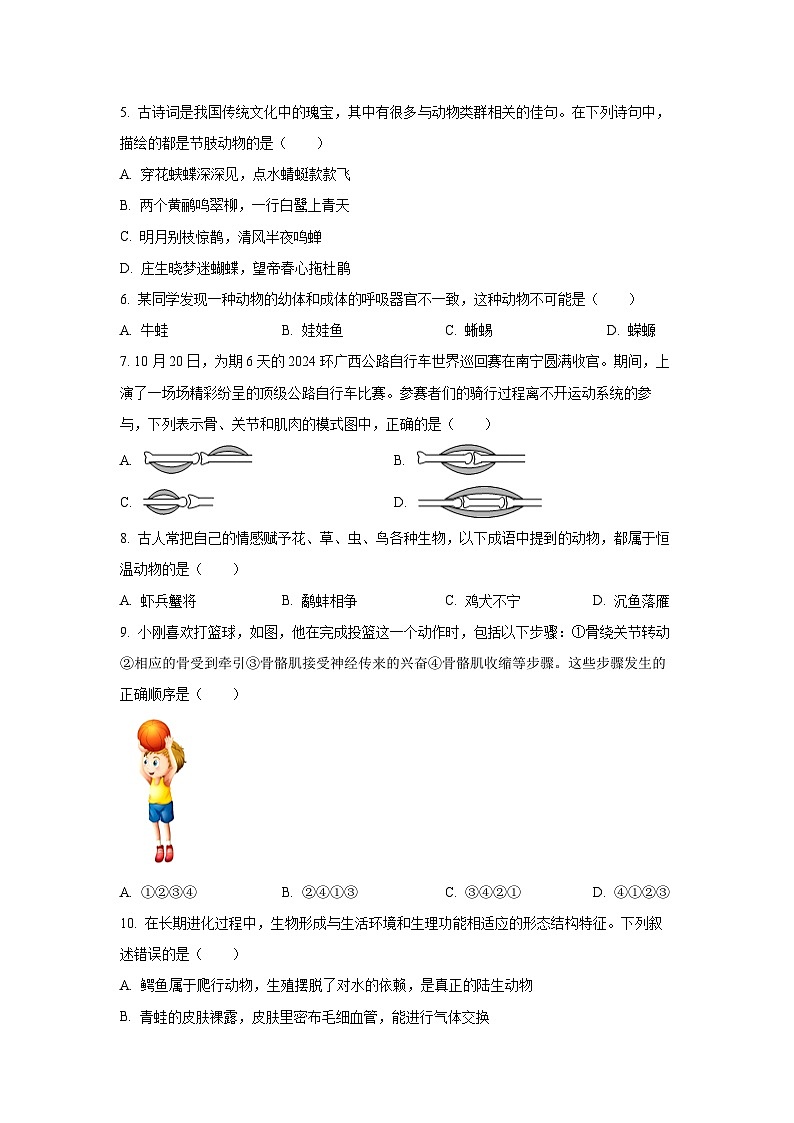 广西玉林市2024--2025学年八年级上学期期中生物试卷（学生版）第2页