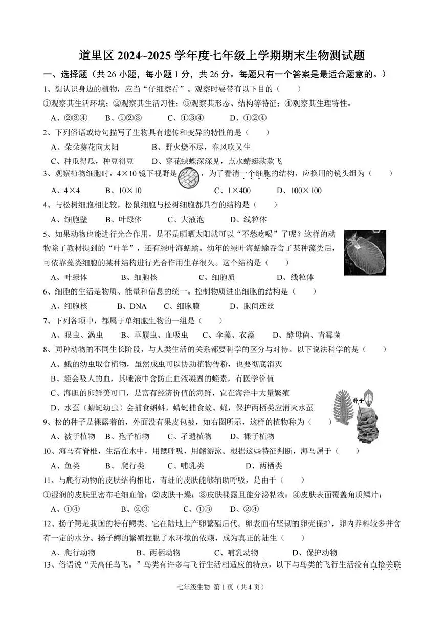 黑龙江省哈尔滨市道里区2024-2025学年上学期七年级生物期末试题第1页