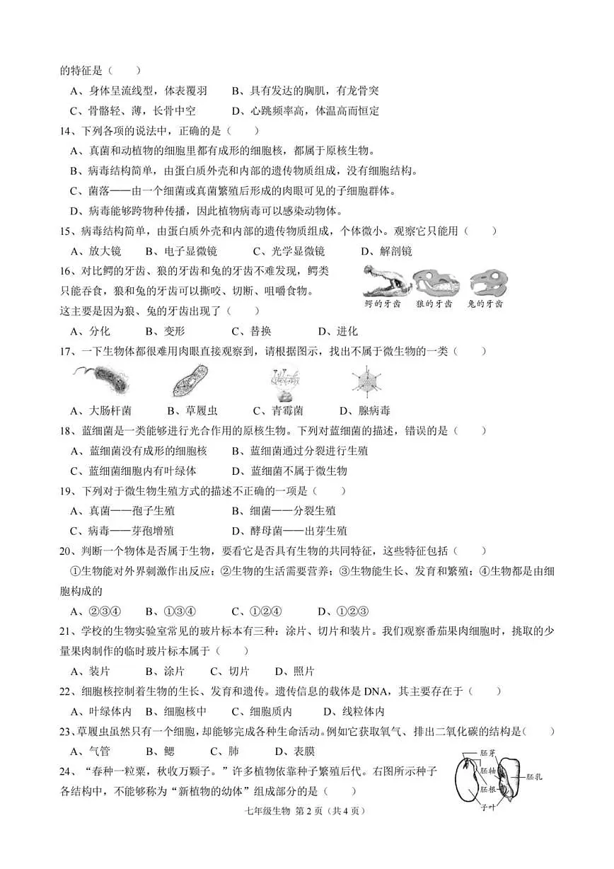 黑龙江省哈尔滨市道里区2024-2025学年上学期七年级生物期末试题第2页
