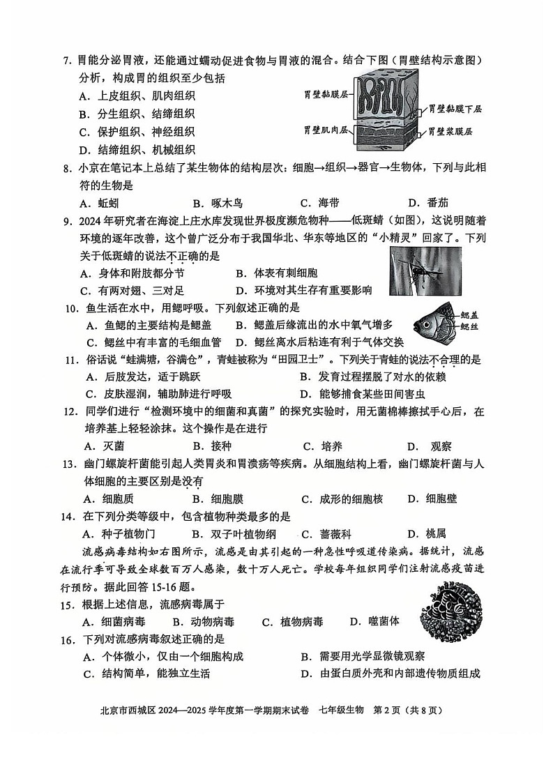 北京市西城区2024-2025学年七年级上学期期末生物试题第2页