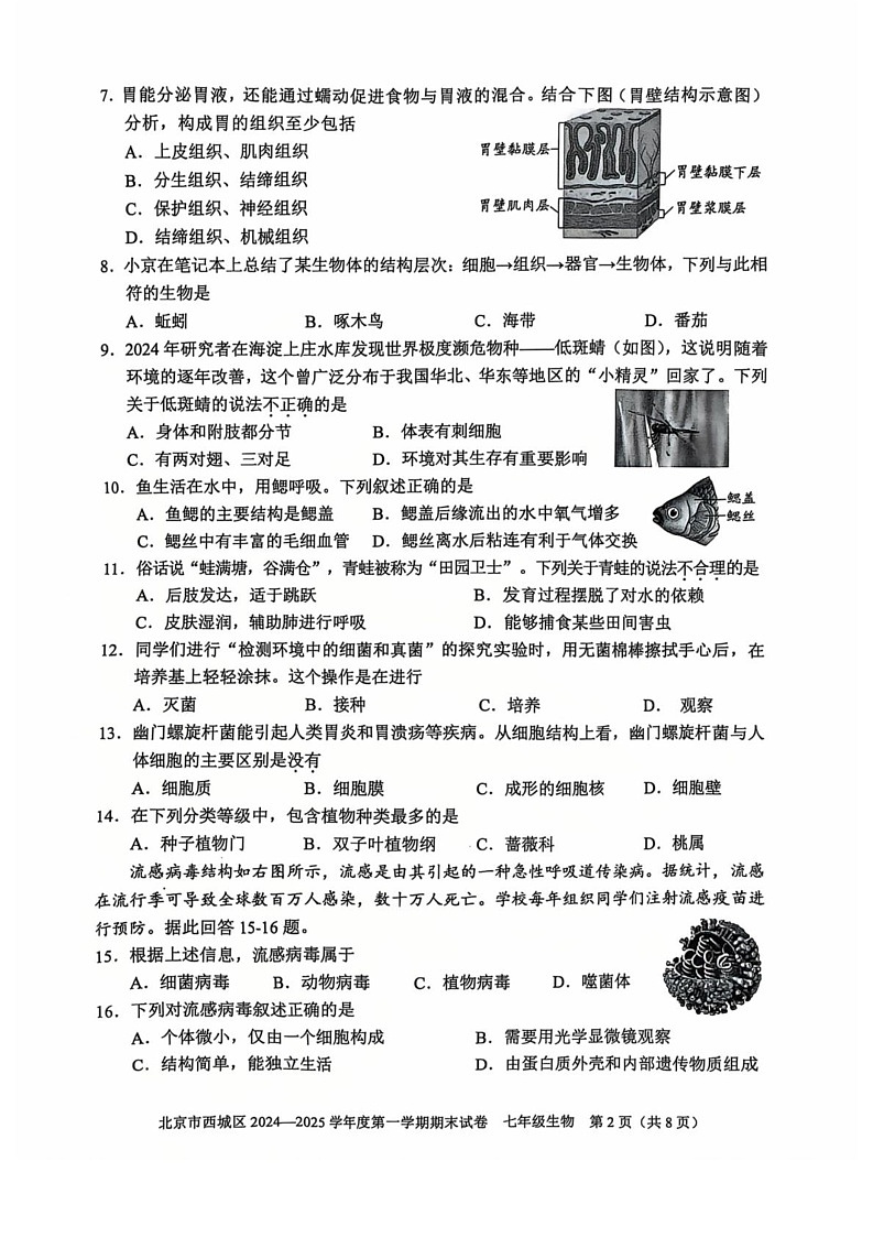 北京市西城区2024-2025学年七年级上学期期末生物试题第2页