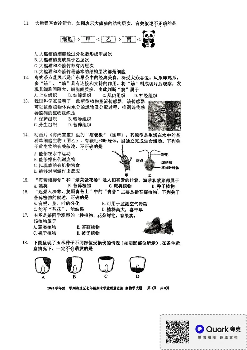 广东省广州市海珠区2024-2025学年七年级上学期期末质量检测生物试题第3页